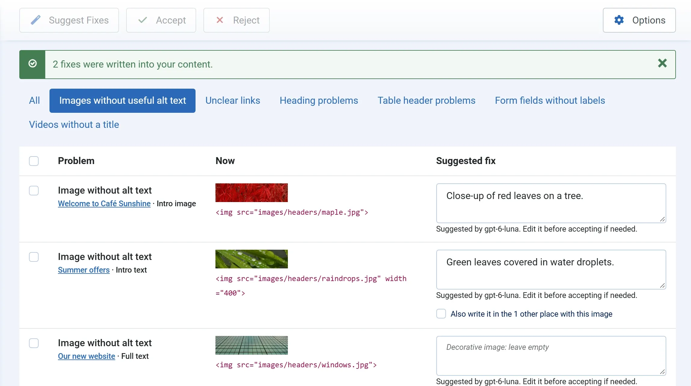 The Images tab after accepting: the message “2 fixes were written into your content.” above the remaining problems.