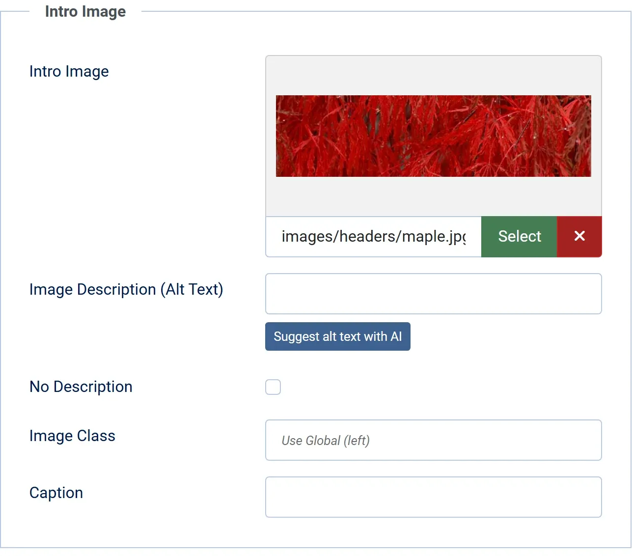 The Intro Image part of the article editor: the image maple.jpg, an empty Image Description (Alt Text) field, the Suggest alt text with AI button under it, and the No Description box.