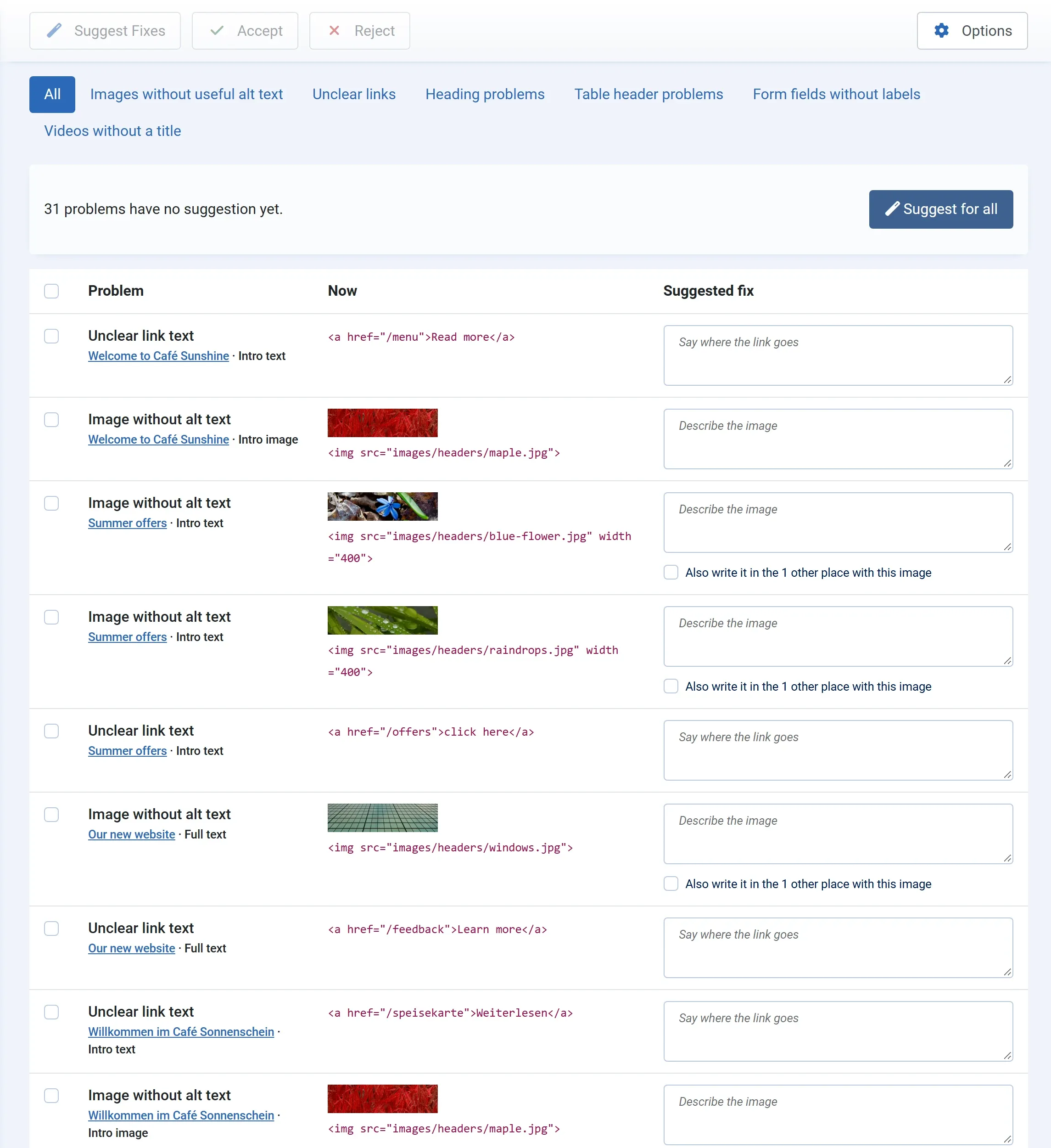 The Fix Queue: the Suggest Fixes, Accept and Reject buttons, filter tabs for each kind of problem, the Suggest for all panel, and rows of images and links with an empty Suggested fix box.