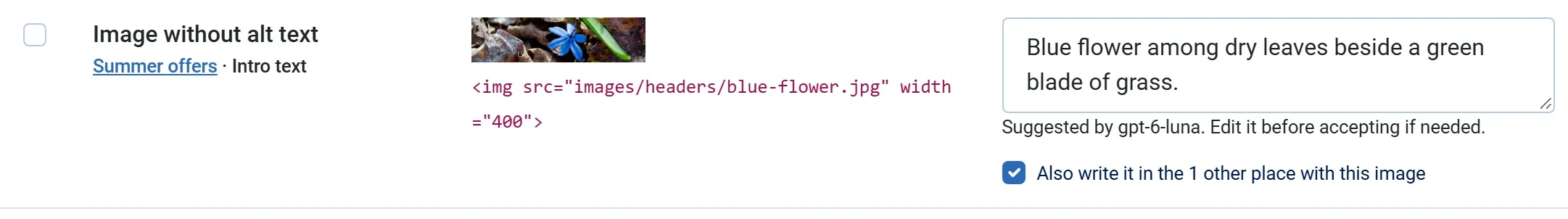 A Fix Queue row for the image blue-flower.jpg in “Summer offers”, with the suggestion “Blue flower among dry leaves beside a green blade of grass.” and the box “Also write it in the 1 other place with this image” ticked.