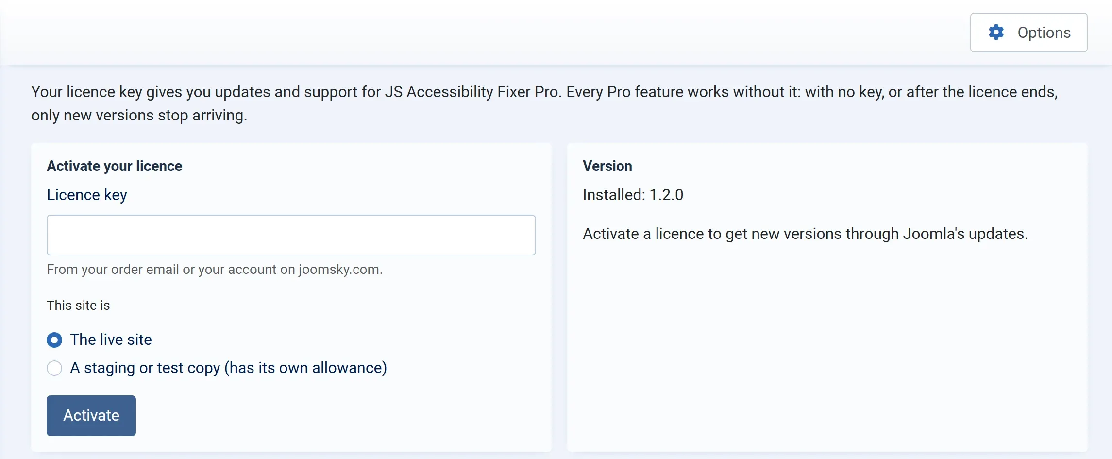 The Licence screen before a key is entered: the Licence key box, the choice between the live site and a staging or test copy, the Activate button, and the installed version.