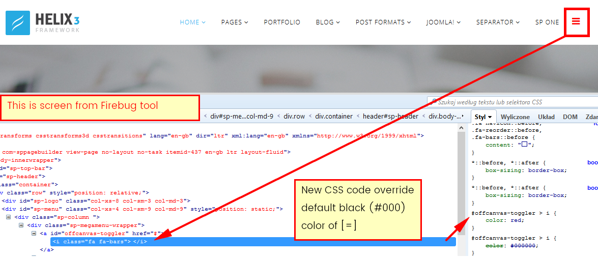 Custom CSS